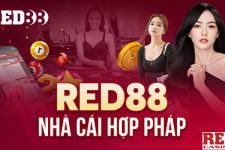 Đánh giá RED88 – Nhà cái hot nhất hiện nay