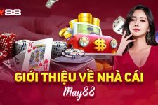 MAY88 – Tìm hiểu chi tiết nhà cái cá cược hàng đầu Việt Nam 