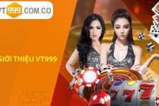 VT999 – Nhà cái uy tín – Kiếm tiền không khó