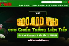 M8Win – Nhà cái trực tuyến uy tín chất lượng 